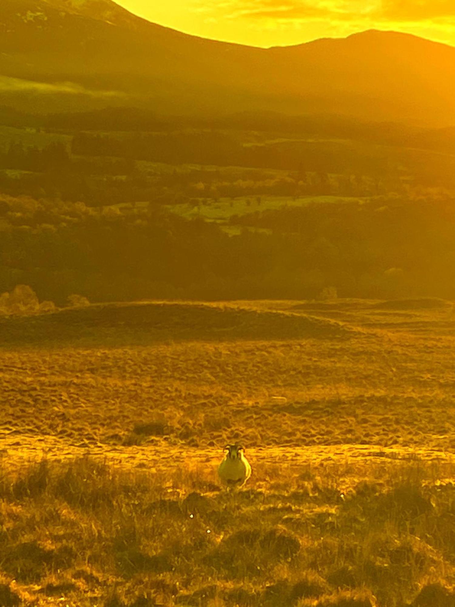 Smiddy House Bed and Breakfast Spean Bridge Buitenkant foto